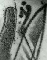 Logo Lame Tolosienne