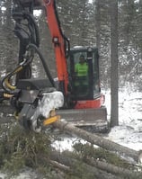 Firesmart treatment in Canmore AB using a compact tree harvestor to fall, delimb and build piles.