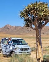 a lady on a road trip stops next to a tree in the karoo in South Africa