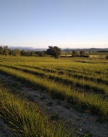 coucher de soleil