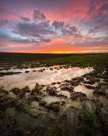 a sunset sky with clouds and a pink sky at Rainham Marshes