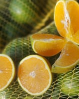 Laranjas cortas, mostrando a suculência da fruta, despertando sede.