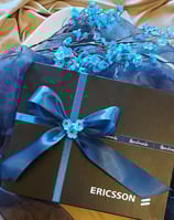 Beautifully packed black and blue box for Ericsson Pakistan.  Hand-painted pen holders corporate gifts