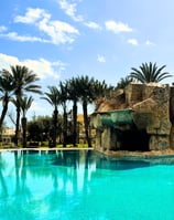 "Piscine extérieure de l’hôtel Russelior entourée de palmiers, cadre paisible pour les vacances bien-être The Best You"