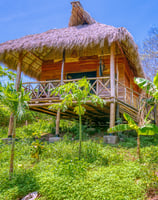 wooden bungalow with palapa roofs at ecoldoge