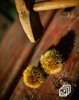 a wood hammer and chestnuts