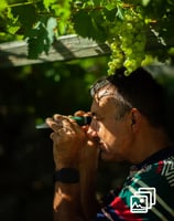 a man looking in an instrument in a vineyard