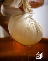 a person holding a bag of milk in a cheese factory