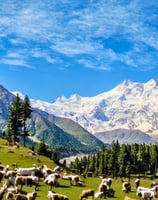 Panoramic view of nanga parbat peak from fairy meadows Pakistan 