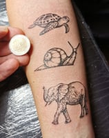 tattoo, inked, tattooart, art, tattooartist, details, dotwork, small tattoo, snail, elephant, 