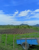 a blue carton with a trailer in the middle of a field
