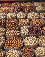 brown and gray deer on green leaf