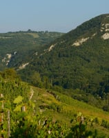 Vallée de Cerdon, Ain