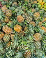 Ananas bio par NIMBA AGRO BUSINESS.