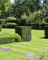 Clean cut lawn with topiary