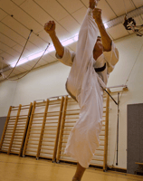 Bild Trainer Karate Kyokushinkai