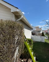 fiberglass ladder used to reach downspout