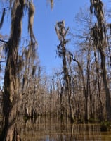 RV Rentals in Opelousas LA - Lightning RV Rentals of Louisiana