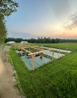 la pépinière un simple jardin à côté de la scierie mobile