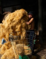 coir