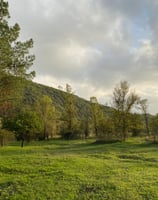 terrain de verdure de la pension chez nanette