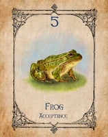 Frog card from the animal spirit oracle deck