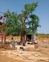 Artificial tree making ward on your demand