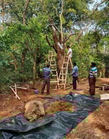 Artificial Trees making for shoot