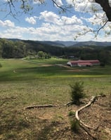 tri-cities riding arena horse boarding elizabethton tennnessee