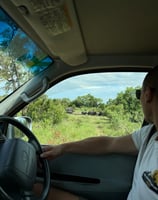 a man driving safari and wildlife in backround Kruger National Park