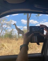 Traveller taking photo of a giraffe in africa