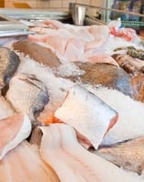 a bunch of fish in a display case