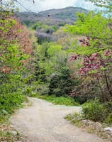 Scenery at guided herbal walk from Drakeia to Agios Lavrentios with medical herbalist Emmanouil Mano