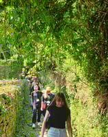 Guided herbal walk with medical herbalist Emmanouil Manos and erasmus students at Tsagkaraga