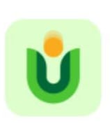 uangnow