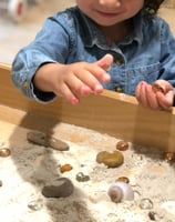 enfant et coquillages