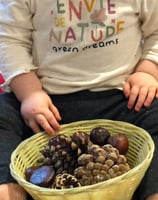 enfant, marrons et pommes de pin
