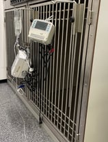 vet_cage_with_infusion_clamped_to_door