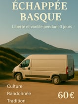 a van parked on a beach with a mountain in the background