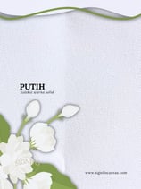 Contoh kain kanvas polyester SIGNIFO warna Putih.
