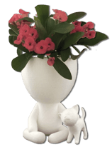 Pots de fleurs blanc