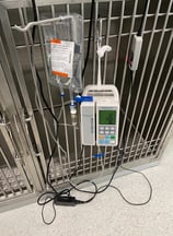 vet_cage_with_infusion_hanging