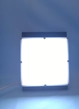 True Back Light