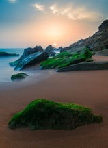 a beach with a sunset and a green grass