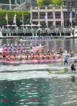 Sydney Lunar Festival, Dragon Boats NSW, Gavin Mitford, Director, Producer, City of Sydney