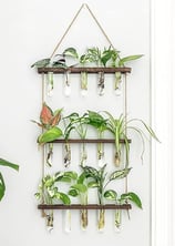 Mkono Plant Propagation Tubes, 3 Tiered Wall Hanging Terrarium with Wooden Stand Mini Test Tube Flow