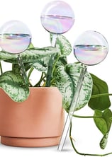 [3PCS] Light Iridescent Rainbow Gradient Color Clear Glass Self-Watering System Spikes, Automatic Pl