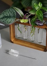 Source & Plot - Plant Propagation Station - Acacia Wood Stand 4 Glass Test Tube Hydroponic Tabletop 