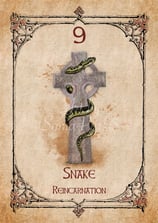 Snake card from the animal spirit oracle deck
