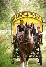 une balade visite foret brocéliande en caleche contes